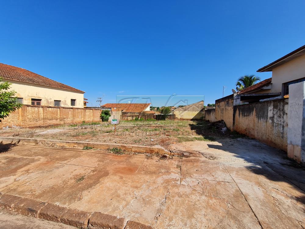 Alugar Terrenos / Lote em Santa Cruz do Rio Pardo R$ 1.800,00 - Foto 2