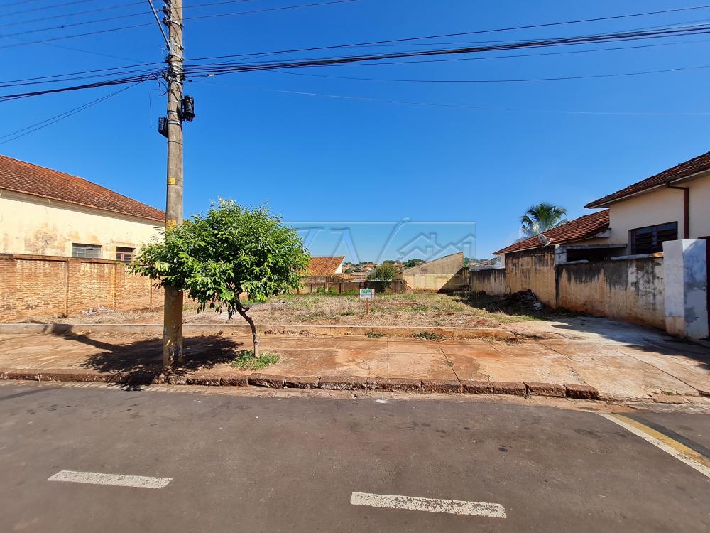 Alugar Terrenos / Lote em Santa Cruz do Rio Pardo R$ 1.800,00 - Foto 3