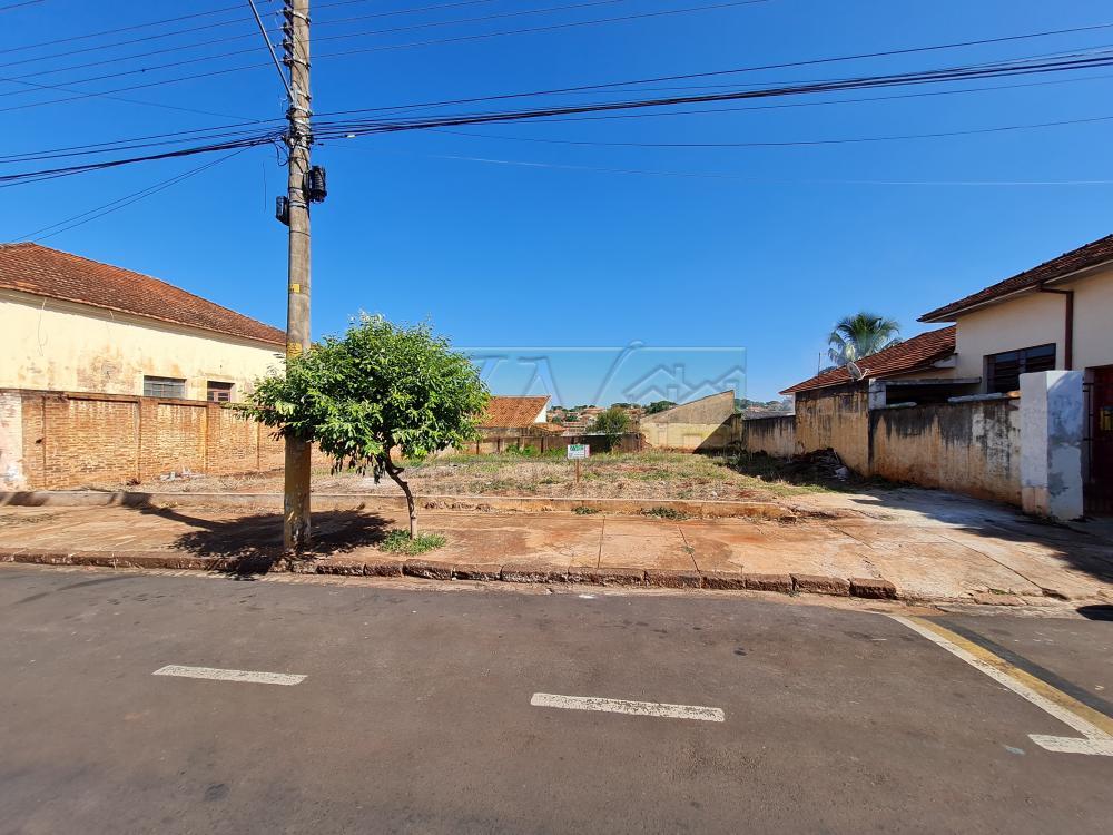 Alugar Terrenos / Lote em Santa Cruz do Rio Pardo R$ 1.800,00 - Foto 4