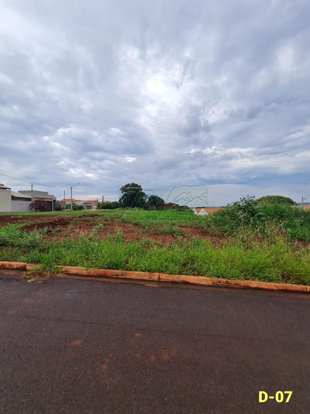 Comprar Terrenos / Lote em Santa Cruz do Rio Pardo R$ 140.400,00 - Foto 1