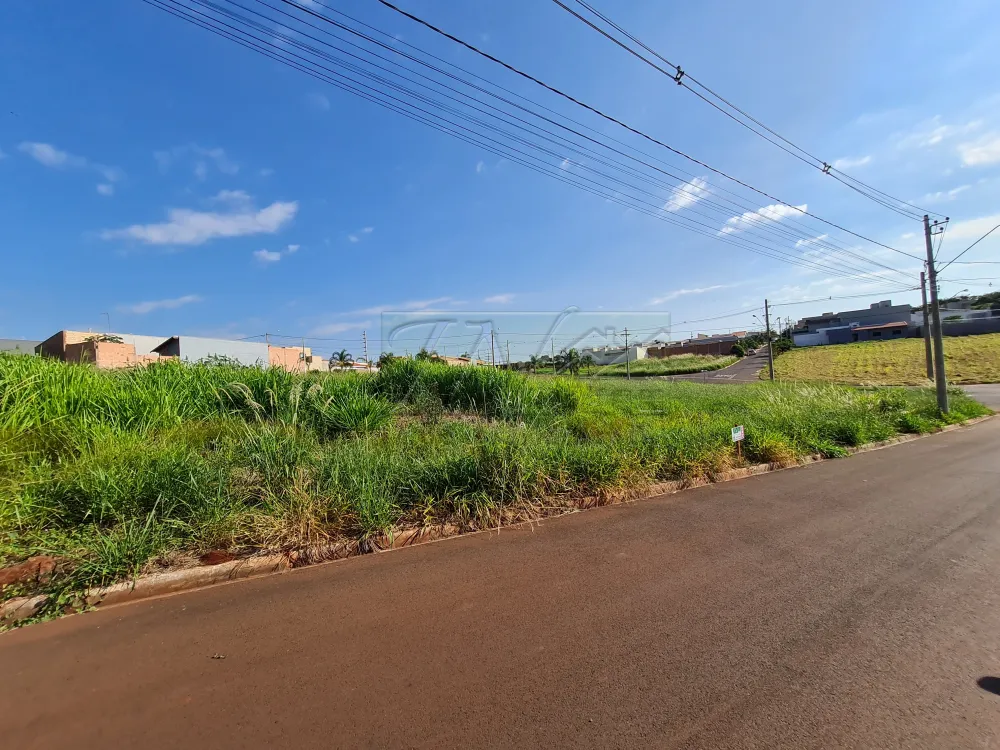 Comprar Terrenos / Lote em Santa Cruz do Rio Pardo R$ 150.000,00 - Foto 2