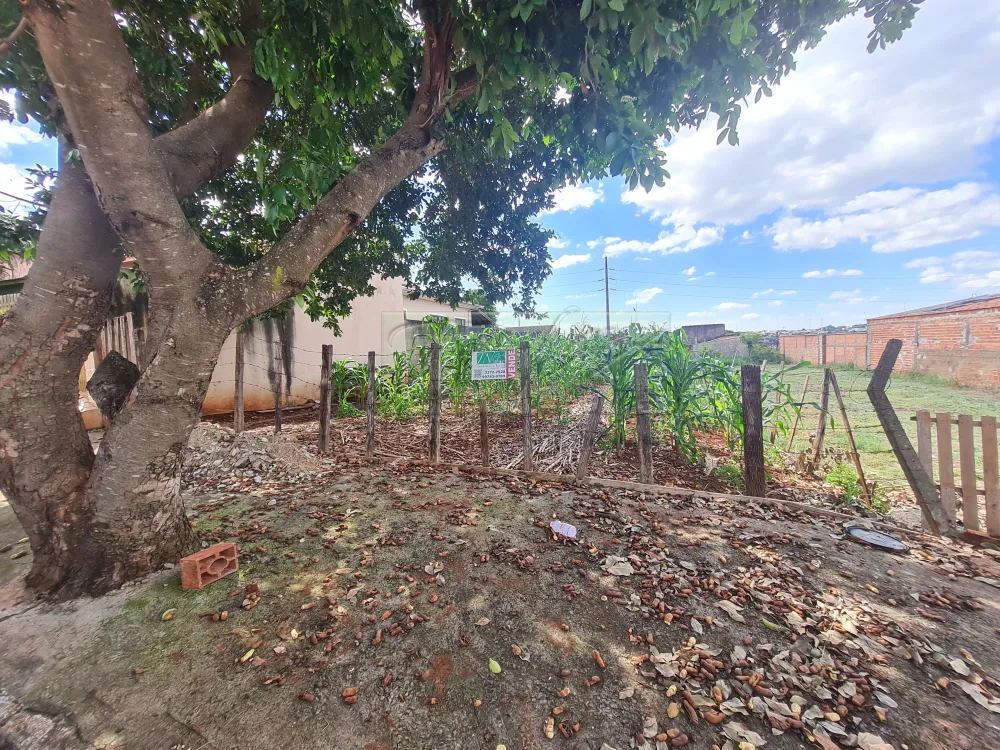 Comprar Terrenos / Lote em Santa Cruz do Rio Pardo R$ 135.000,00 - Foto 1