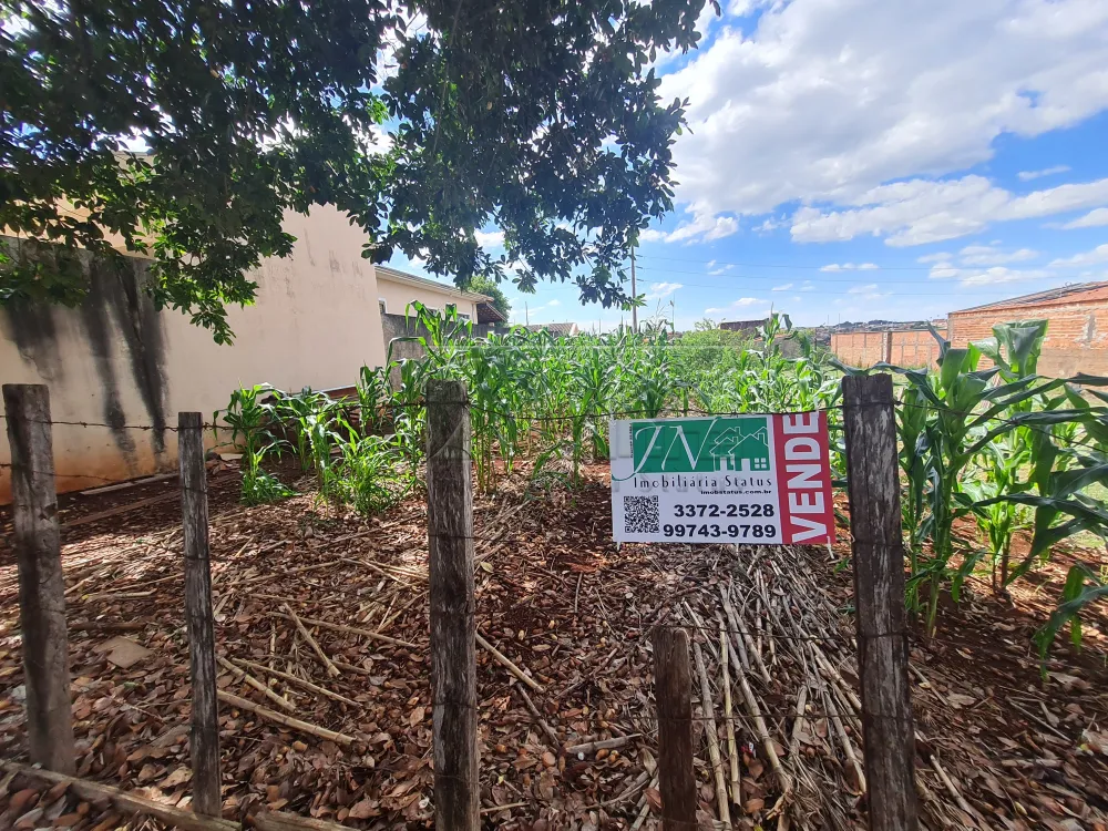 Comprar Terrenos / Lote em Santa Cruz do Rio Pardo R$ 135.000,00 - Foto 4