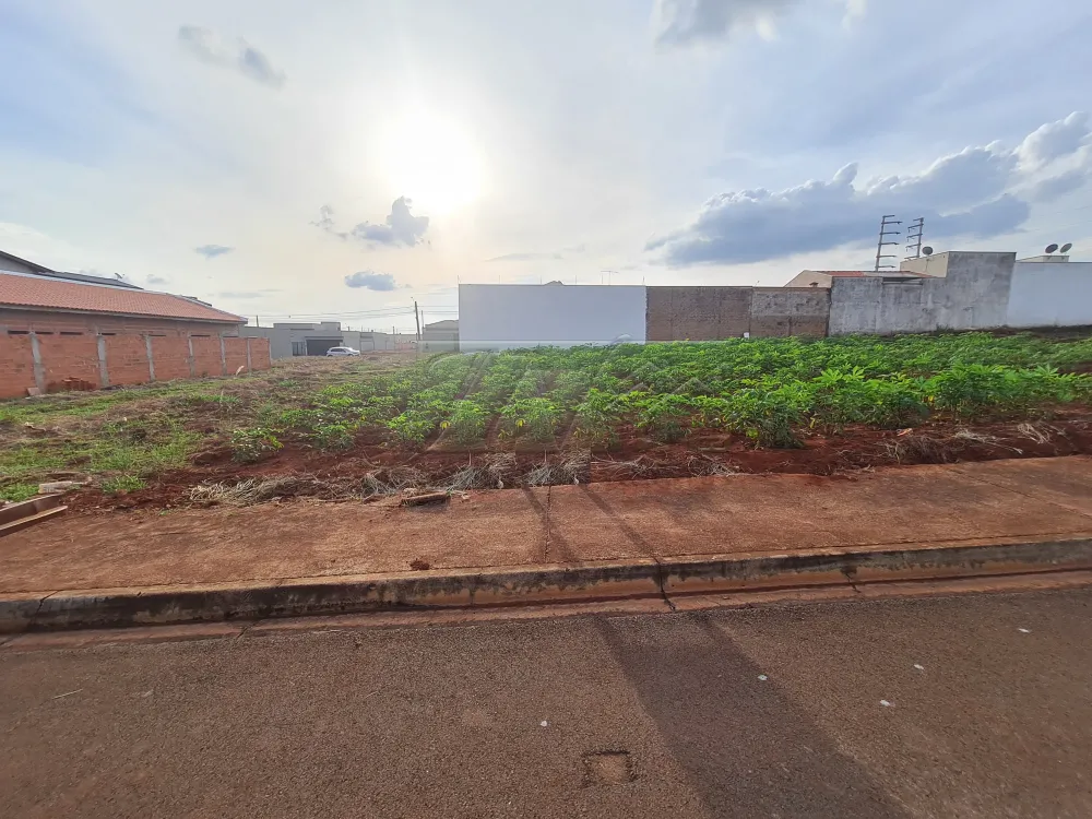 Comprar Terrenos / Lote em Santa Cruz do Rio Pardo R$ 250.000,00 - Foto 1