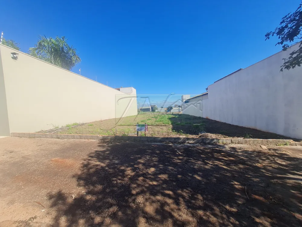 Comprar Terrenos / Lote em Santa Cruz do Rio Pardo R$ 220.000,00 - Foto 3