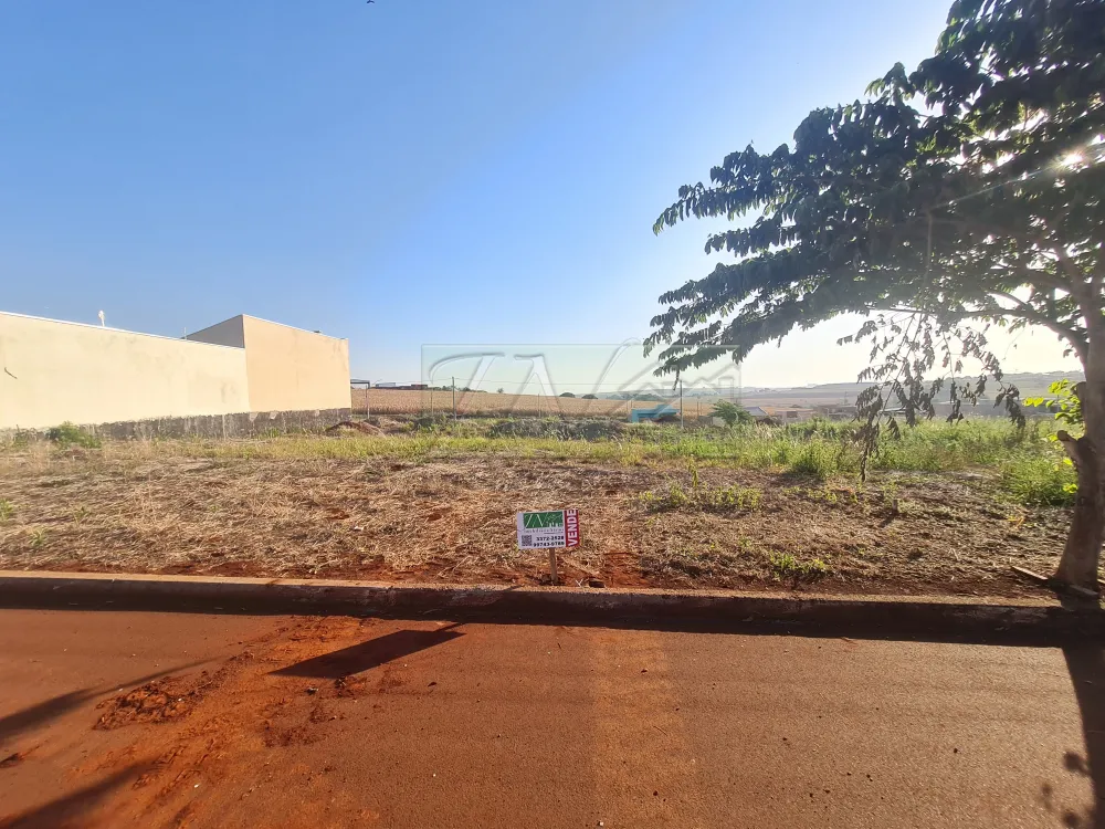 Comprar Terrenos / Lote em Santa Cruz do Rio Pardo R$ 110.000,00 - Foto 2