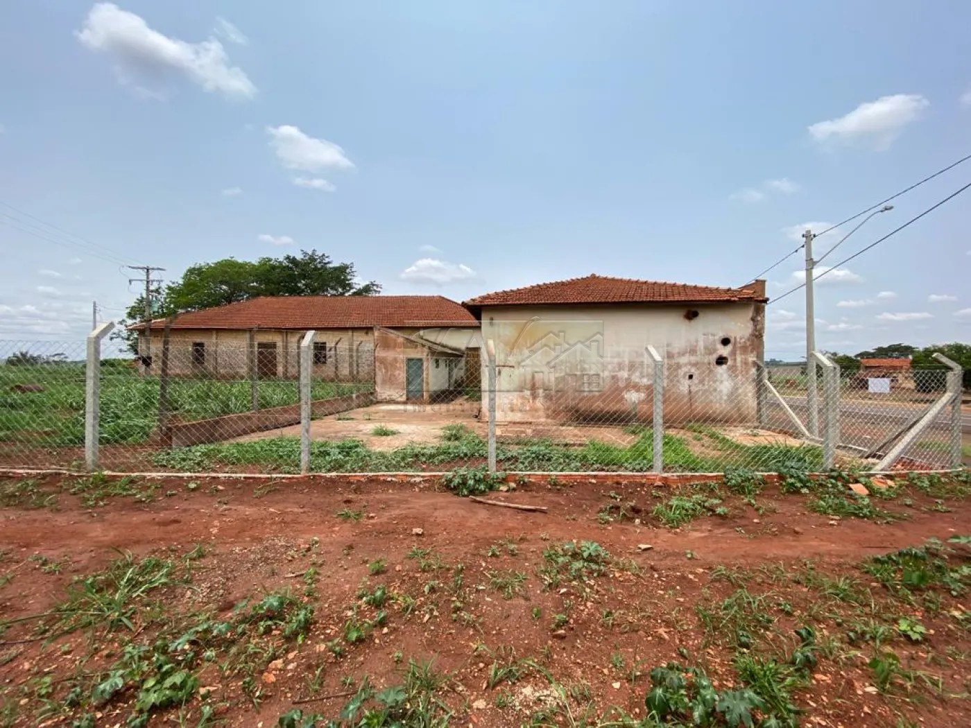 Comprar Comerciais / Galpão em Santa Cruz do Rio Pardo - Foto 5