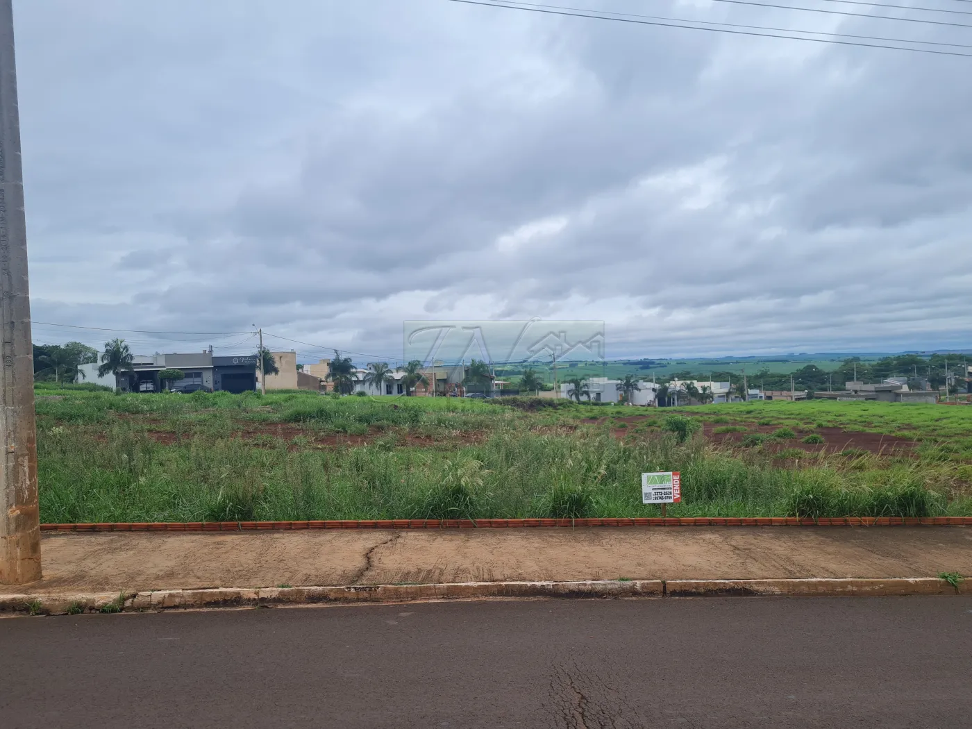 Comprar Terrenos / Lote em Santa Cruz do Rio Pardo R$ 450.000,00 - Foto 3