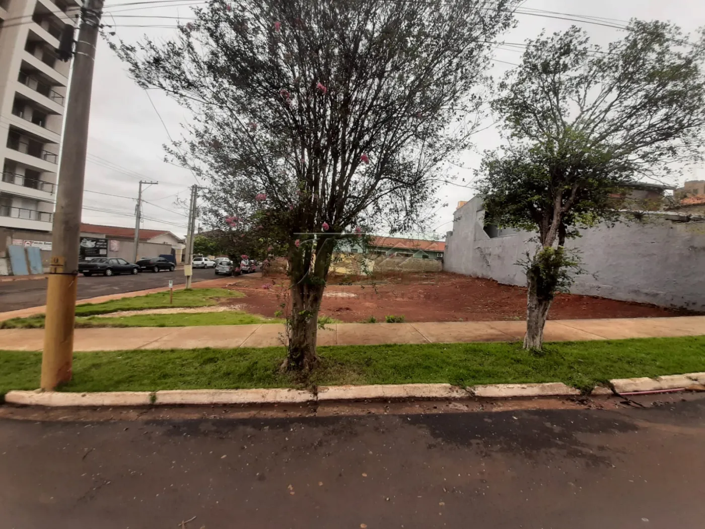 Alugar Terrenos / Lote em Santa Cruz do Rio Pardo R$ 1.000,00 - Foto 3