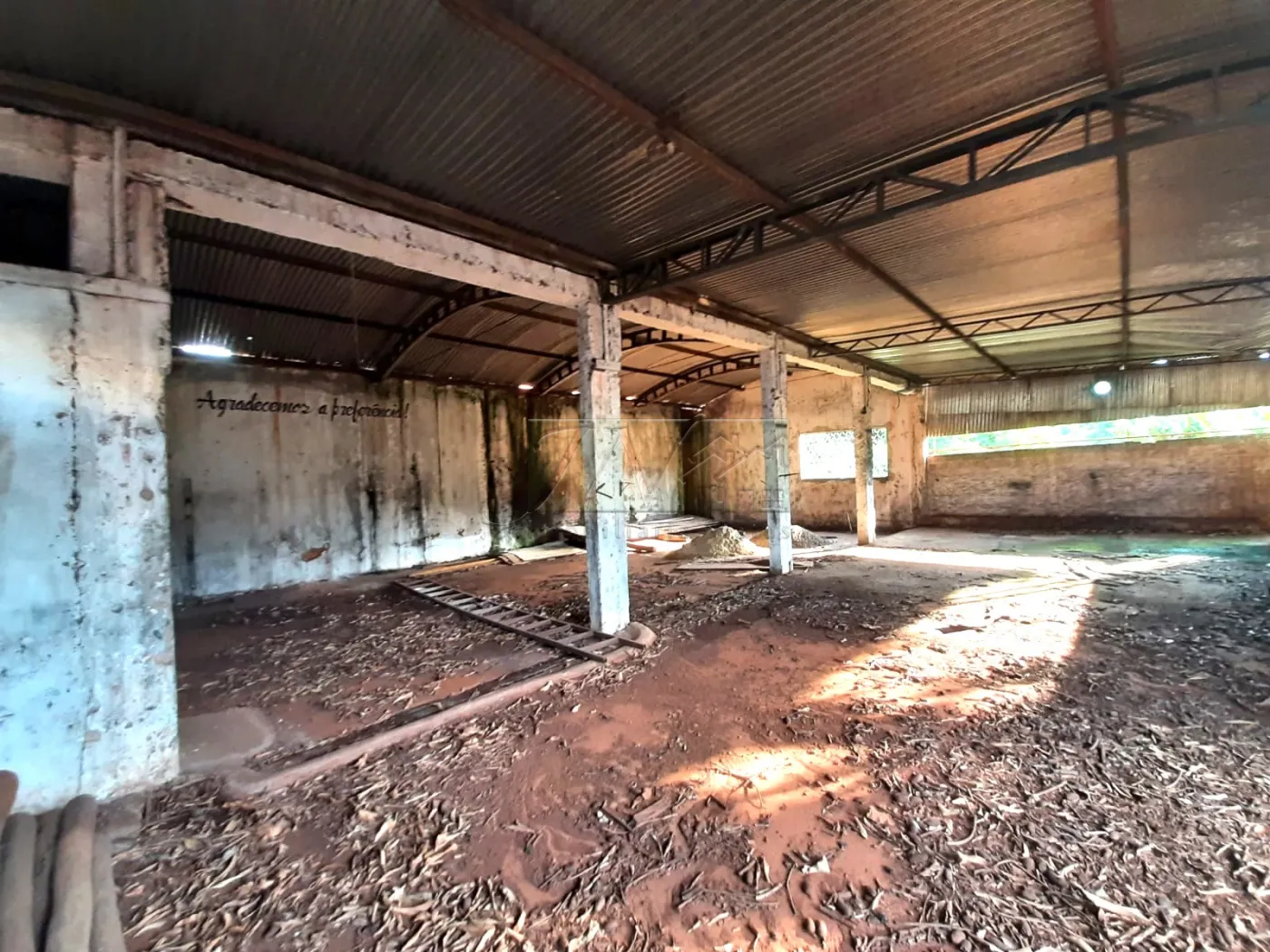 Comprar Terrenos / Lote em Santa Cruz do Rio Pardo R$ 250.000,00 - Foto 3