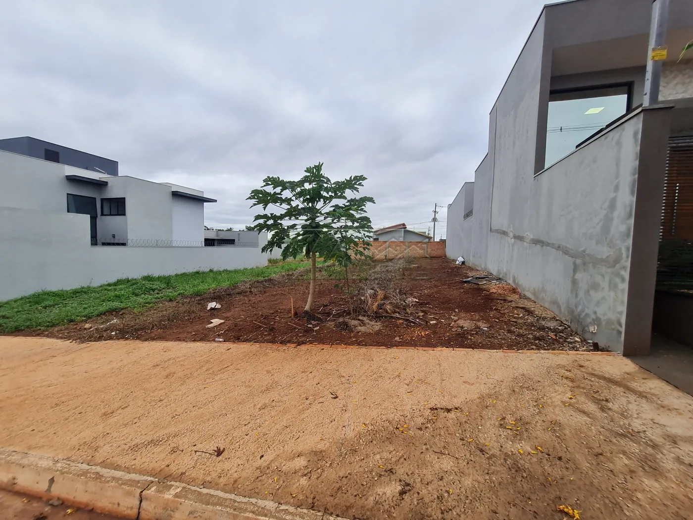 Comprar Terrenos / Lote em Santa Cruz do Rio Pardo R$ 120.000,00 - Foto 2