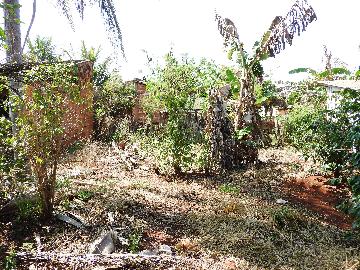 Comprar Terrenos / Lote em Santa Cruz do Rio Pardo R$ 80.000,00 - Foto 3