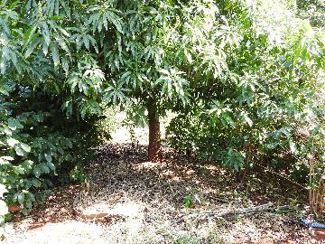 Comprar Terrenos / Lote em Santa Cruz do Rio Pardo R$ 80.000,00 - Foto 4