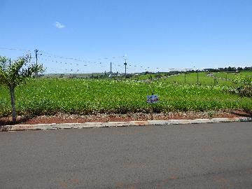 Terrenos / Lote em Santa Cruz do Rio Pardo 