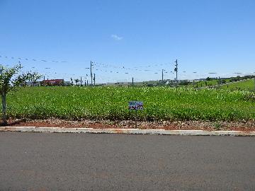 Comprar Terrenos / Lote em Santa Cruz do Rio Pardo R$ 125.000,00 - Foto 2