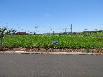 imagem 2 - Terrenos - Lote imagem 2 - Terrenos - Lote