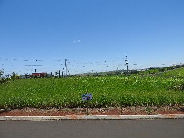 imagem 4 - Terrenos - Lote imagem 4 - Terrenos - Lote
