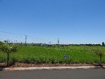 imagem 1 - Terrenos - Lote imagem 1 - Terrenos - Lote