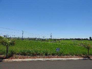 Comprar Terrenos / Lote em Santa Cruz do Rio Pardo R$ 125.000,00 - Foto 1