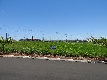 Comprar Terrenos / Lote em Santa Cruz do Rio Pardo R$ 125.000,00 - Foto 2