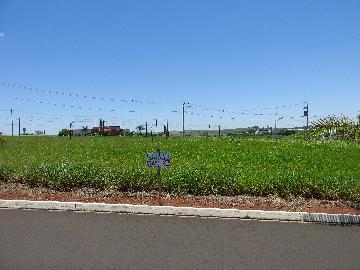 Comprar Terrenos / Lote em Santa Cruz do Rio Pardo R$ 125.000,00 - Foto 3