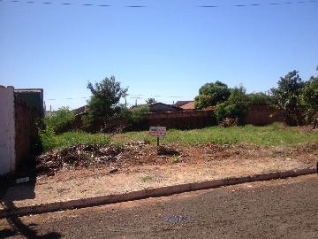 Comprar Terrenos / Lote em Ourinhos R$ 100.000,00 - Foto 1