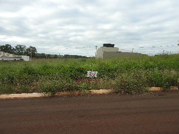 Alugar Terrenos / Lote em Santa Cruz do Rio Pardo. apenas R$ 110.000,00