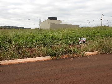 Comprar Terrenos / Lote em Santa Cruz do Rio Pardo - Foto 2