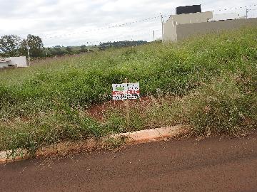 imagem 4 - Terrenos - Lote imagem 4 - Terrenos - Lote