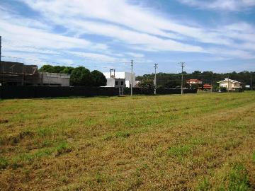 imagem 2 - Terrenos - Lote imagem 2 - Terrenos - Lote