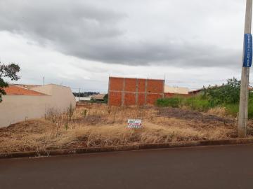 Terrenos / Lote em Santa Cruz do Rio Pardo 