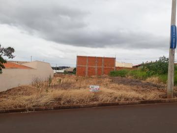 Comprar Terrenos / Lote em Santa Cruz do Rio Pardo R$ 120.000,00 - Foto 2