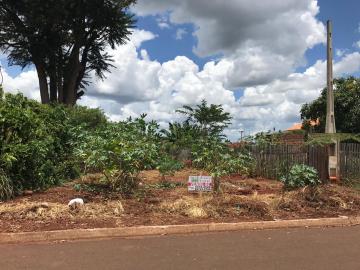 Alugar Terrenos / Lote em Santa Cruz do Rio Pardo. apenas R$ 45.000,00