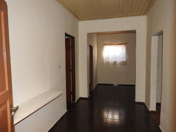 Alugar Residenciais / Casas em Santa Cruz do Rio Pardo R$ 780,00 - Foto 4