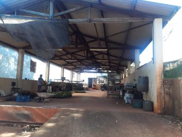 Santa Cruz do Rio Pardo Estacao Chacara Venda R$3.500.000,00 