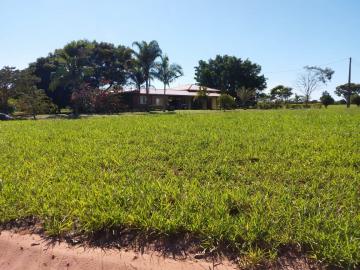 Comprar Terrenos / Lote em Paranapanema R$ 45.000,00 - Foto 6
