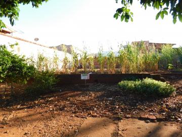 imagem 2 - Terrenos - Lote imagem 2 - Terrenos - Lote