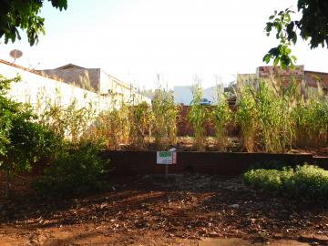 imagem 5 - Terrenos - Lote imagem 5 - Terrenos - Lote