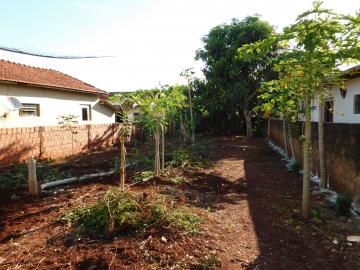 Comprar Terrenos / Lote em Santa Cruz do Rio Pardo R$ 55.000,00 - Foto 4