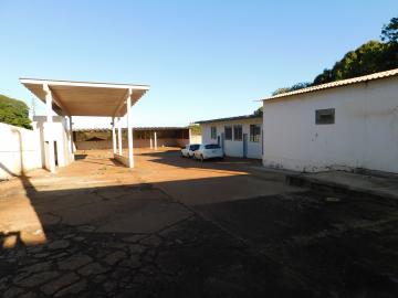 Alugar Comerciais / Galpão em Santa Cruz do Rio Pardo R$ 6.500,00 - Foto 3