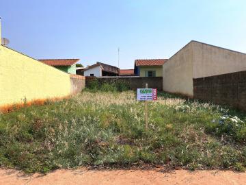 Terrenos / Lote em Santa Cruz do Rio Pardo 