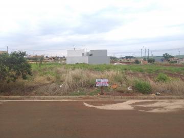 imagem 4 - Terrenos - Lote imagem 4 - Terrenos - Lote