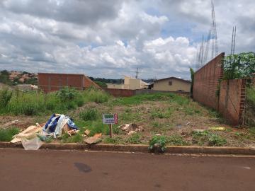 Comprar Terrenos / Lote em Santa Cruz do Rio Pardo R$ 110.000,00 - Foto 2