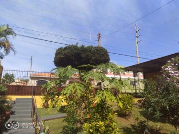 Alugar Residenciais / Casas em Santa Cruz do Rio Pardo R$ 900,00 - Foto 3