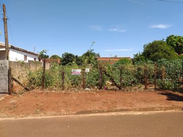 Terrenos / Lote em Santa Cruz do Rio Pardo 