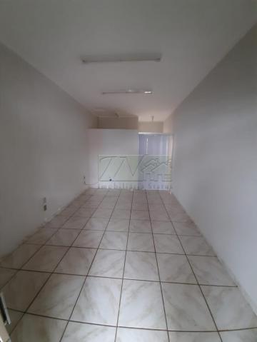 Comprar Comerciais / Sala Comercial em Santa Cruz do Rio Pardo R$ 1.200.000,00 - Foto 5