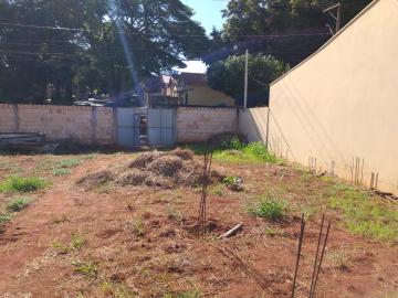Comprar Terrenos / Lote em Santa Cruz do Rio Pardo R$ 240.000,00 - Foto 4