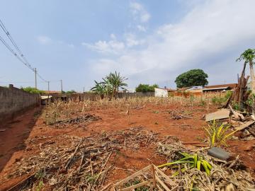 Comprar Terrenos / Lote em Santa Cruz do Rio Pardo R$ 700.000,00 - Foto 5