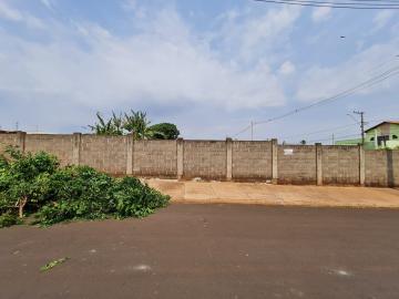 Comprar Terrenos / Lote em Santa Cruz do Rio Pardo R$ 850.000,00 - Foto 2