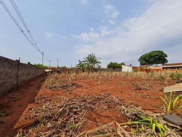 Comprar Terrenos / Lote em Santa Cruz do Rio Pardo R$ 700.000,00 - Foto 3